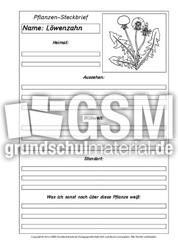 Pflanzensteckbriefvorlage-Löwenzahn-SW.pdf